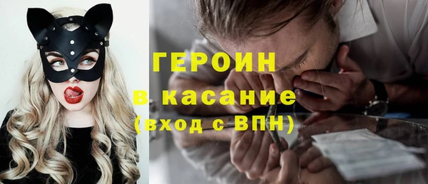 индика Алексин
