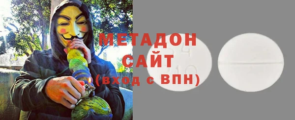 индика Алексин