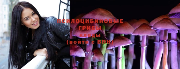 индика Алексин