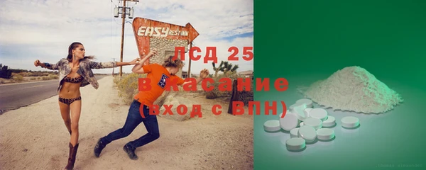 индика Алексин