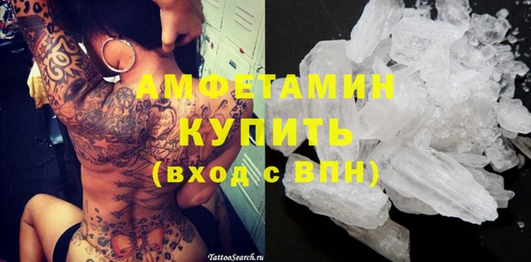 индика Алексин