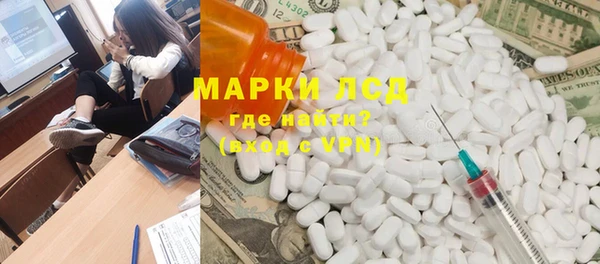 индика Алексин
