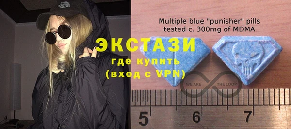 индика Алексин