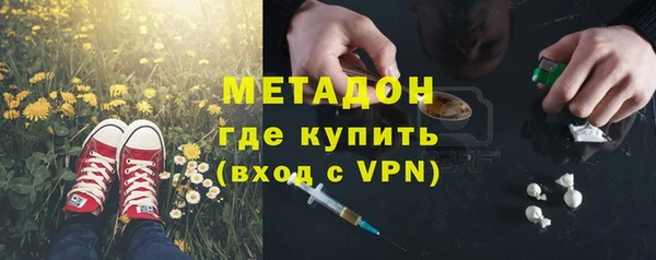 индика Алексин